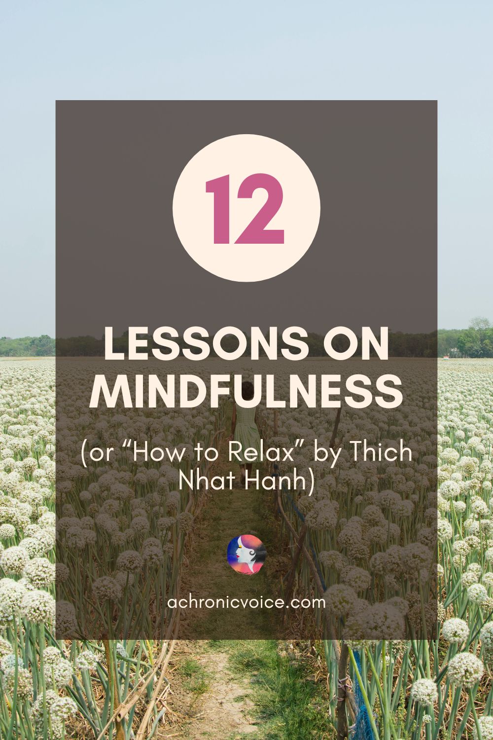 12 Lessons on Mindfulness (or “How to Relax” by Thich Nhat Hanh)