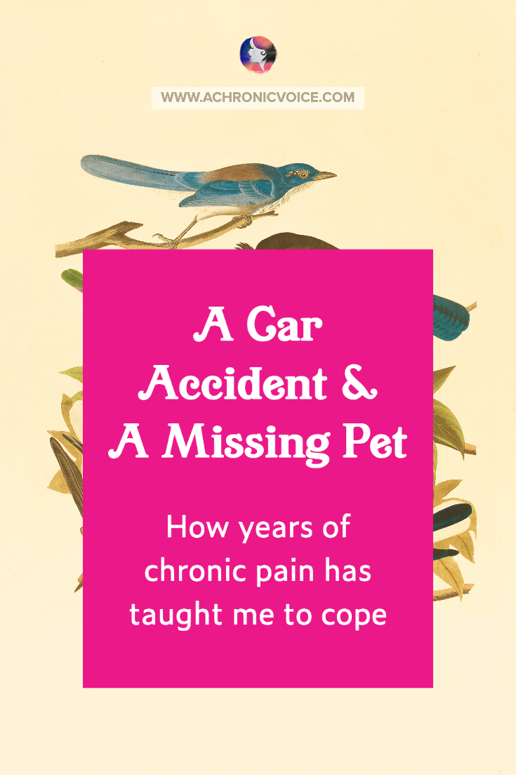 A Gar Accident & A Missing Pet. How Years Of Chronic Pain Has Taught Me To Cope.