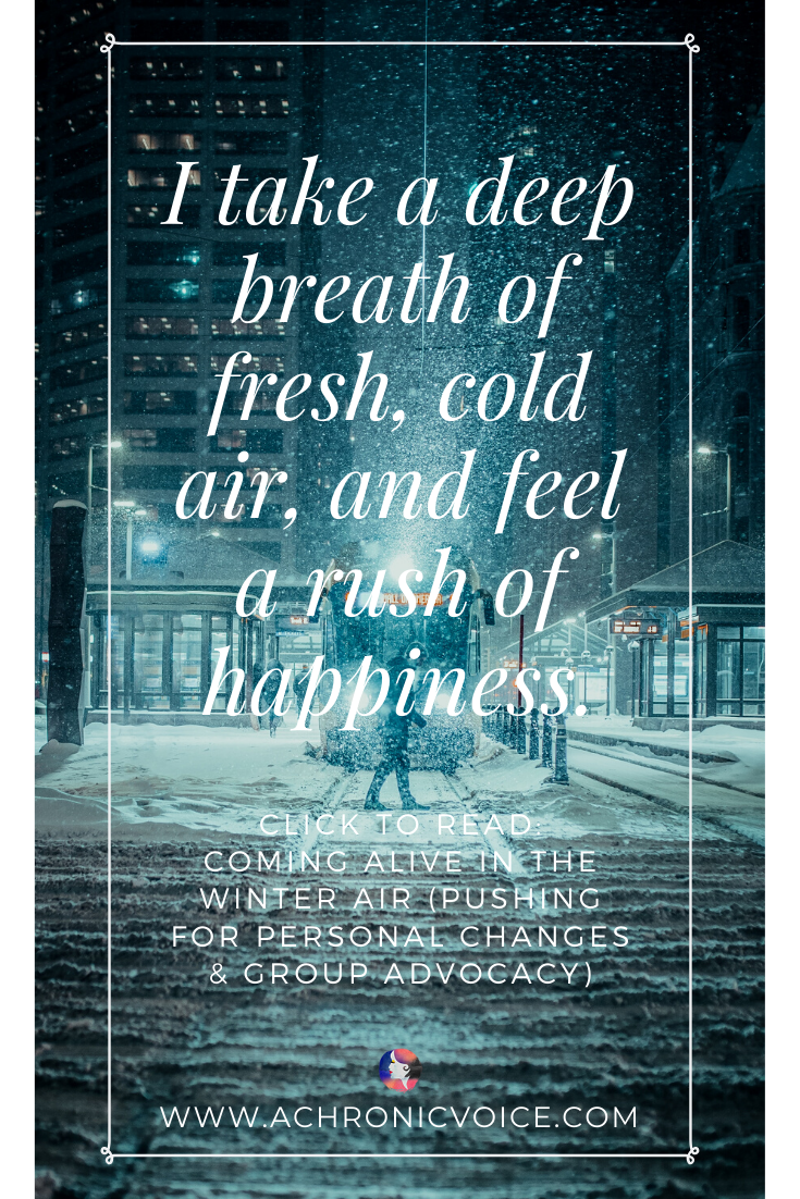 I take a deep breath of fresh, cold air, and feel a rush of happiness. Read the post - Coming Alive in the Winter Air.