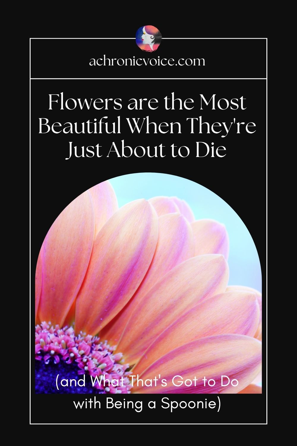 Flowers are the Most Beautiful When They're Just About to Die (and What That's Got to Do with Being a Spoonie). Read on: A Chronic Voice .com