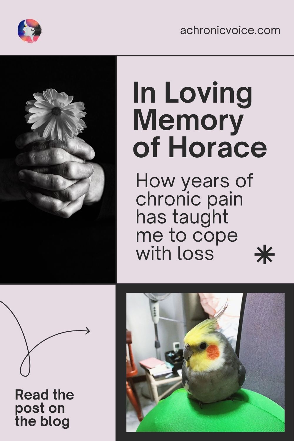 In Loving Memory of Horace — How years of chronic pain has taught me to cope with loss. Read the post on the blog: A Chronic Voice .com