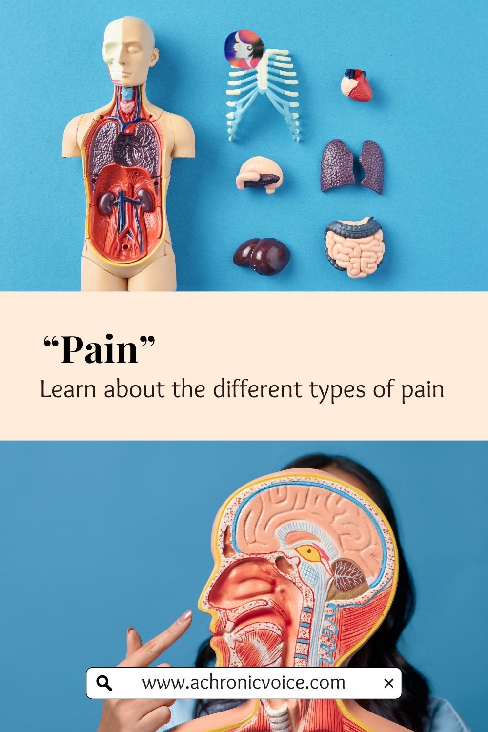 “Pain” - Learn about the different types of pain