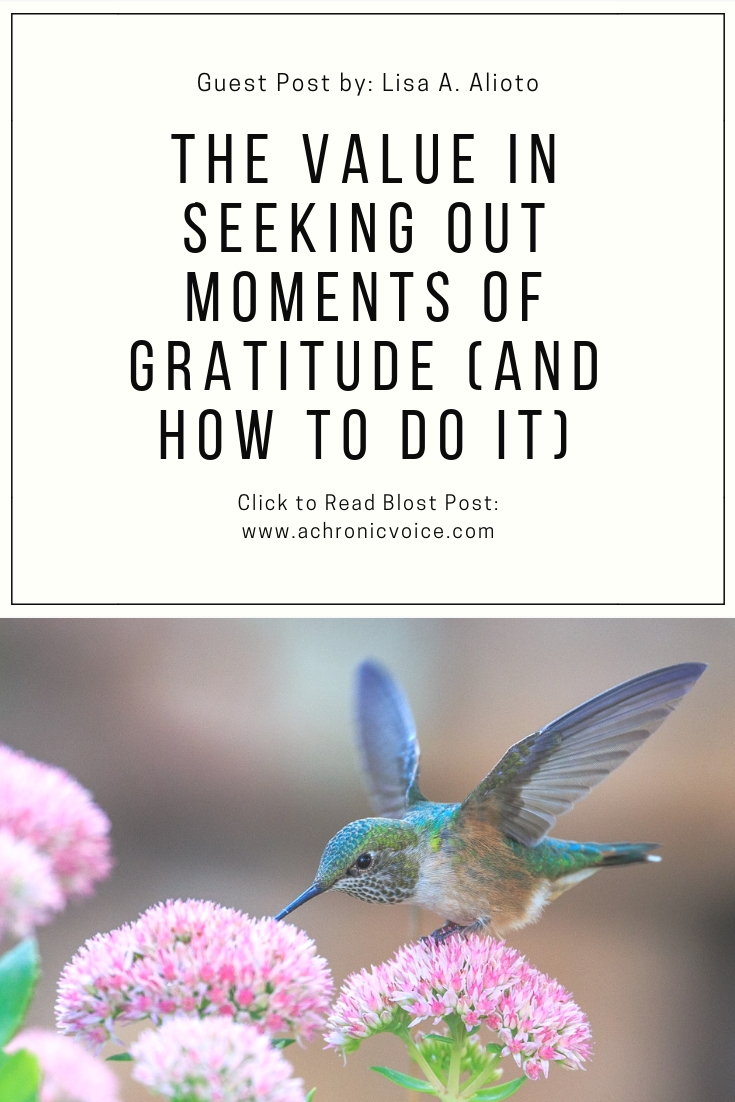 Guest Post By: Lisa A. Alioto - The Value In Seeking Out Moments Of Gratitude and How To Do It. Click To Read Blost Post: Www.achronicvoice.com
