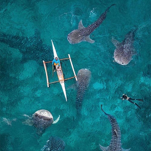 Rachit Shah contributor headshot