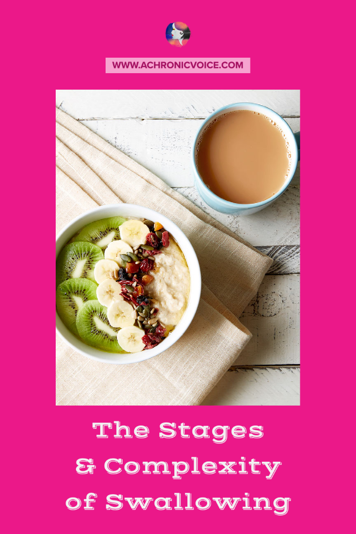 The Stages & Complexity of Swallowing