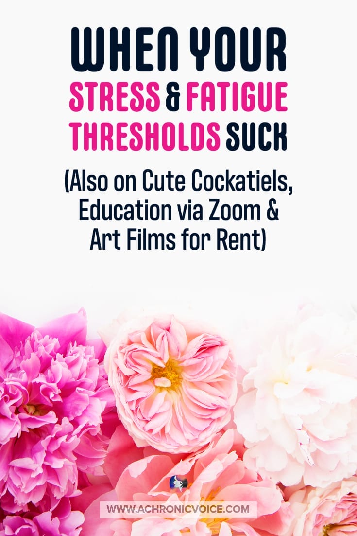 When Your Stress and Fatigue Thresholds Suck (Also on Cute Cockatiels, Education via Zoom and Art Films for Rent)